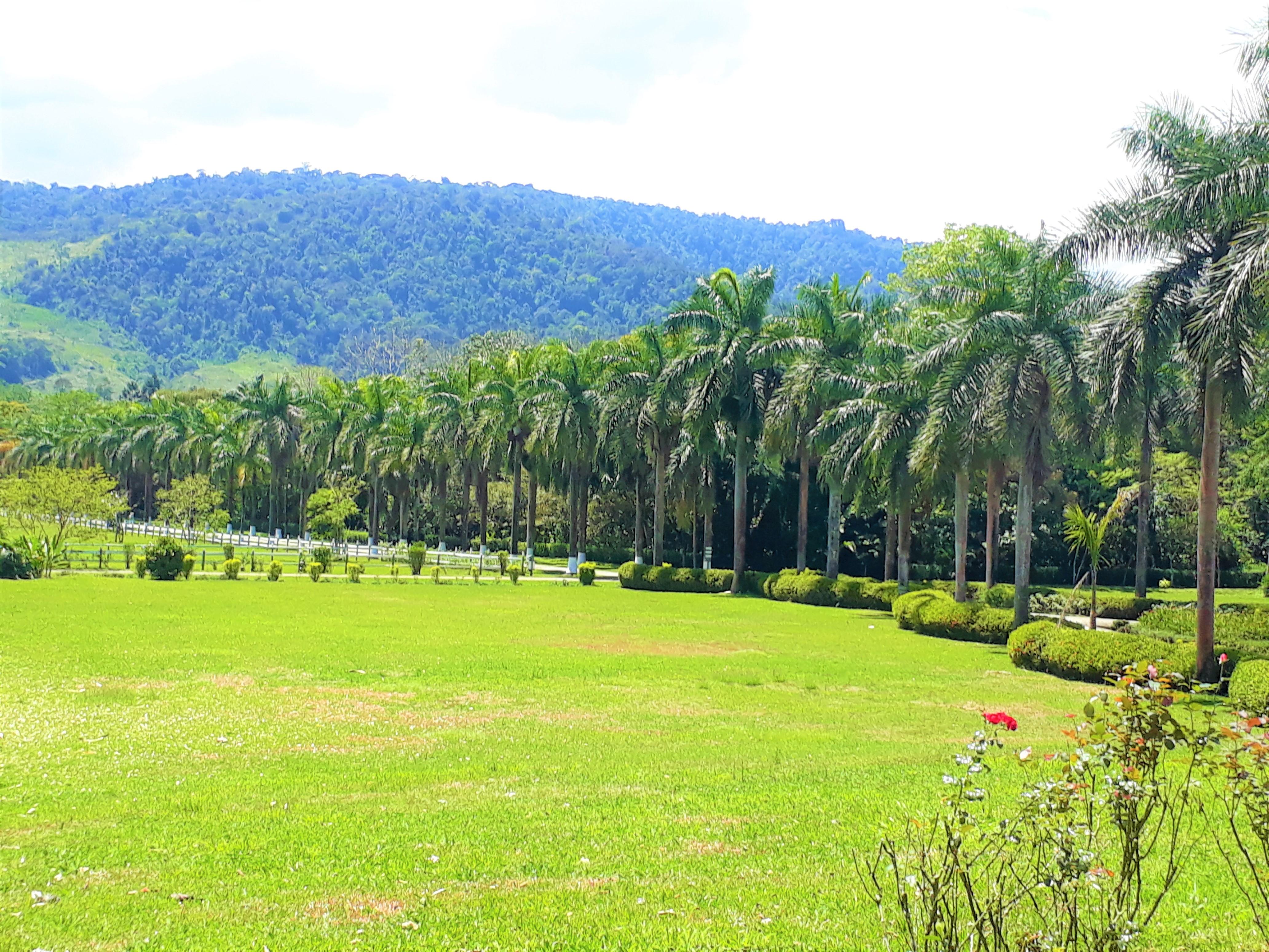 Hotel Casa Turire Turrialba Esterno foto